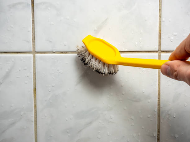 Best Toxic Mold Removal  in Fernandina Beach, FL