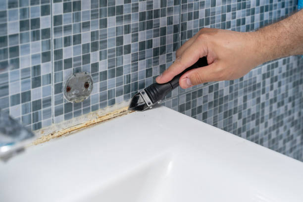 Best Fast Mold Removal  in Fernandina Beach, FL